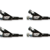 13700b-8nos_01.jpg