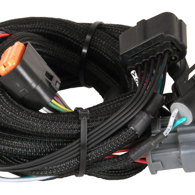 2774_v1.jpg