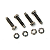 372434-fbk-web.jpg