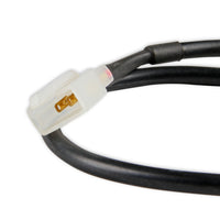 4511aor_01b.jpg