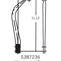 3917307.jpg