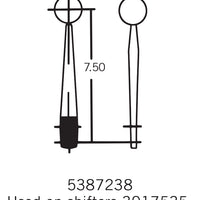 3915061.jpg