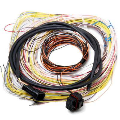 558-401.jpg