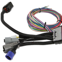 77303_v1.jpg