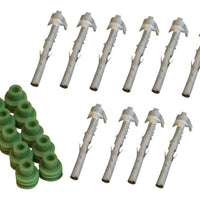 8191.jpg