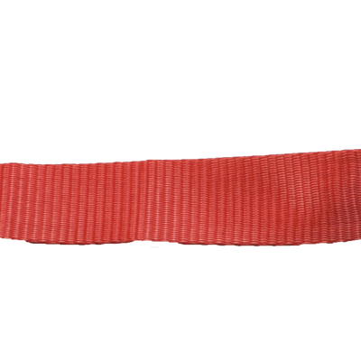 898148-primary-6.png