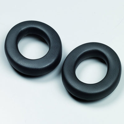 YA0212-lowres.jpg