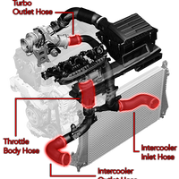 ms100115_001.jpg