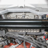 hemi0005erl_01a.jpg