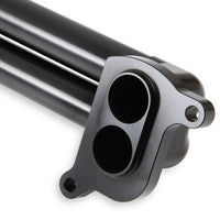 hemi0005erl_01a.jpg