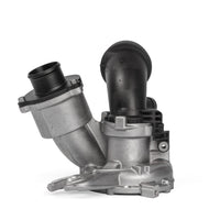 ms100137_001.jpg