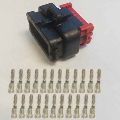 p-2023-810-cn-amp23.jpg