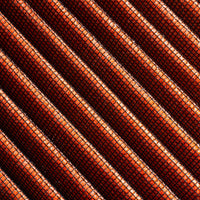 rf100023_001.jpg