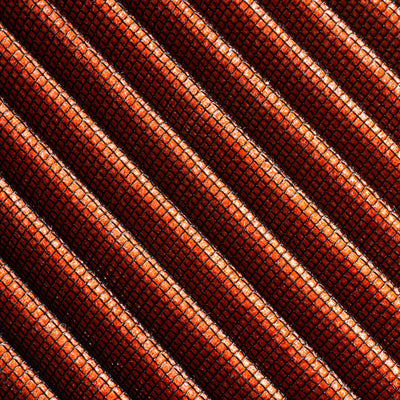rf100023_005.jpg