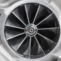 t4100001_001.jpg