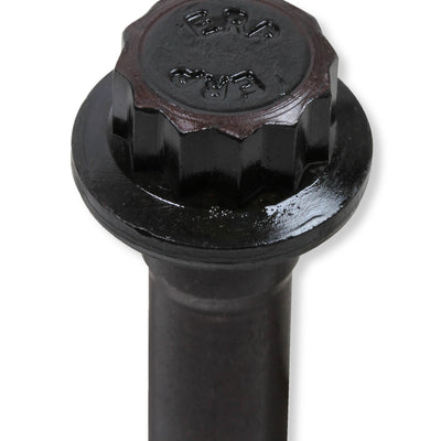 tbs-002erl_02.jpg